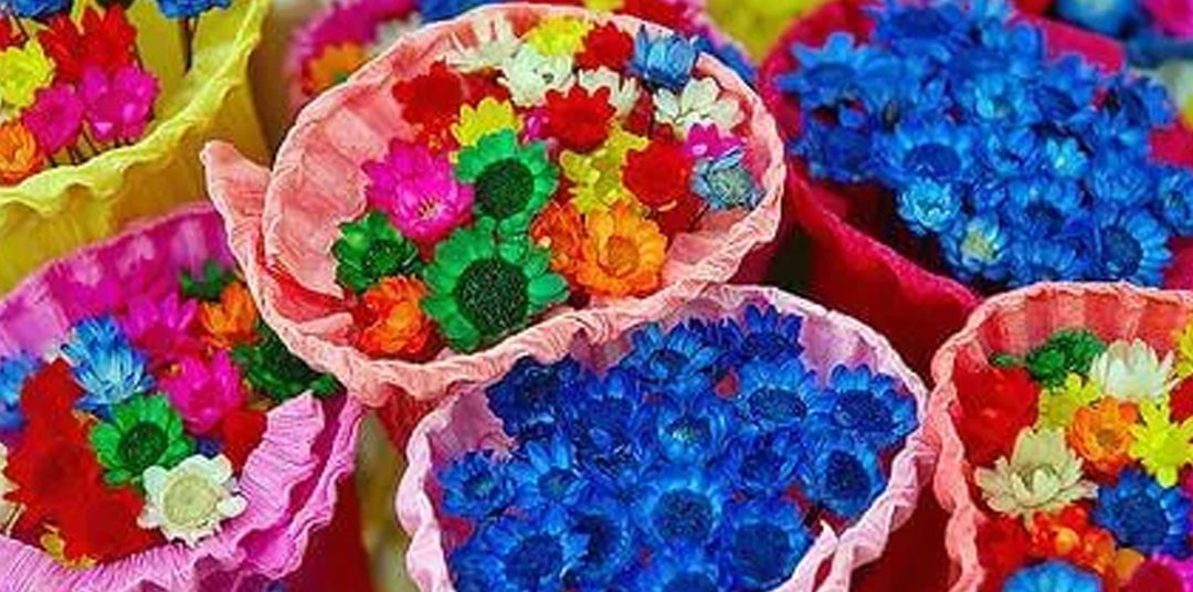 TEORIA DAS CORES